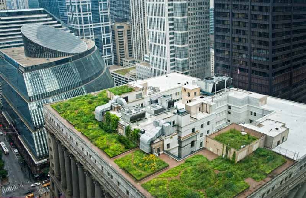 Chicago City Hall Green Roof Chicago City Hall Green Roof