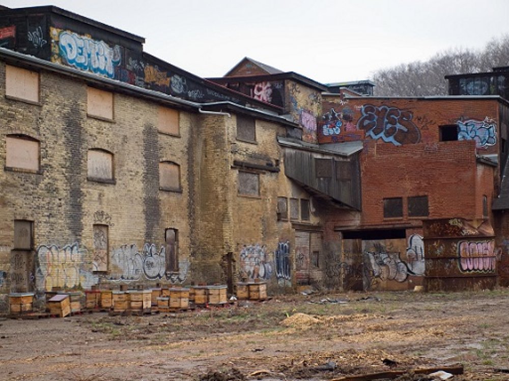 Evergreen Brick Works - Before (Photo Credit: Evergreen Brick Works) Evergreen Brick Works - Before (Photo Credit: Evergreen Brick Works)