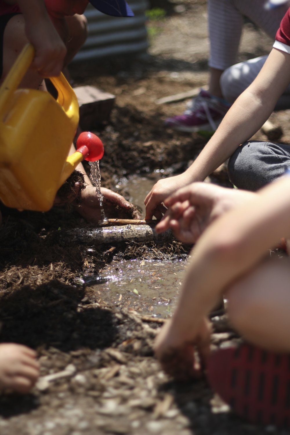 Children's Garden (Photo Credit: Evergreen Brick Works) Children's Garden (Photo Credit: Evergreen Brick Works)